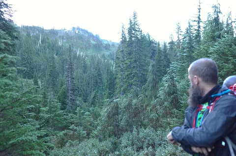 Olympic Peninsula, bank 2, frame 28 of 70