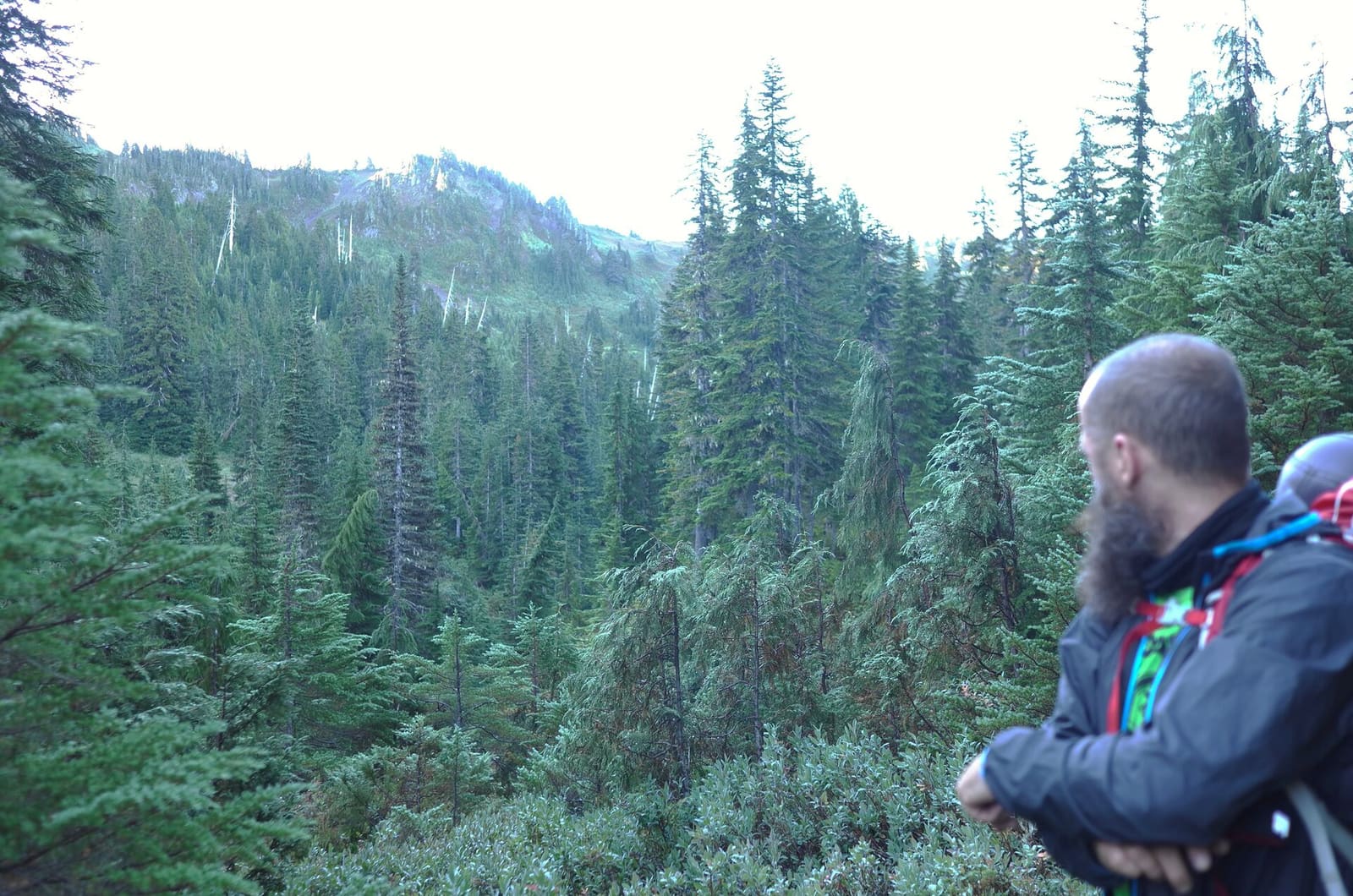 Olympic Peninsula, bank 2, frame 28 of 70