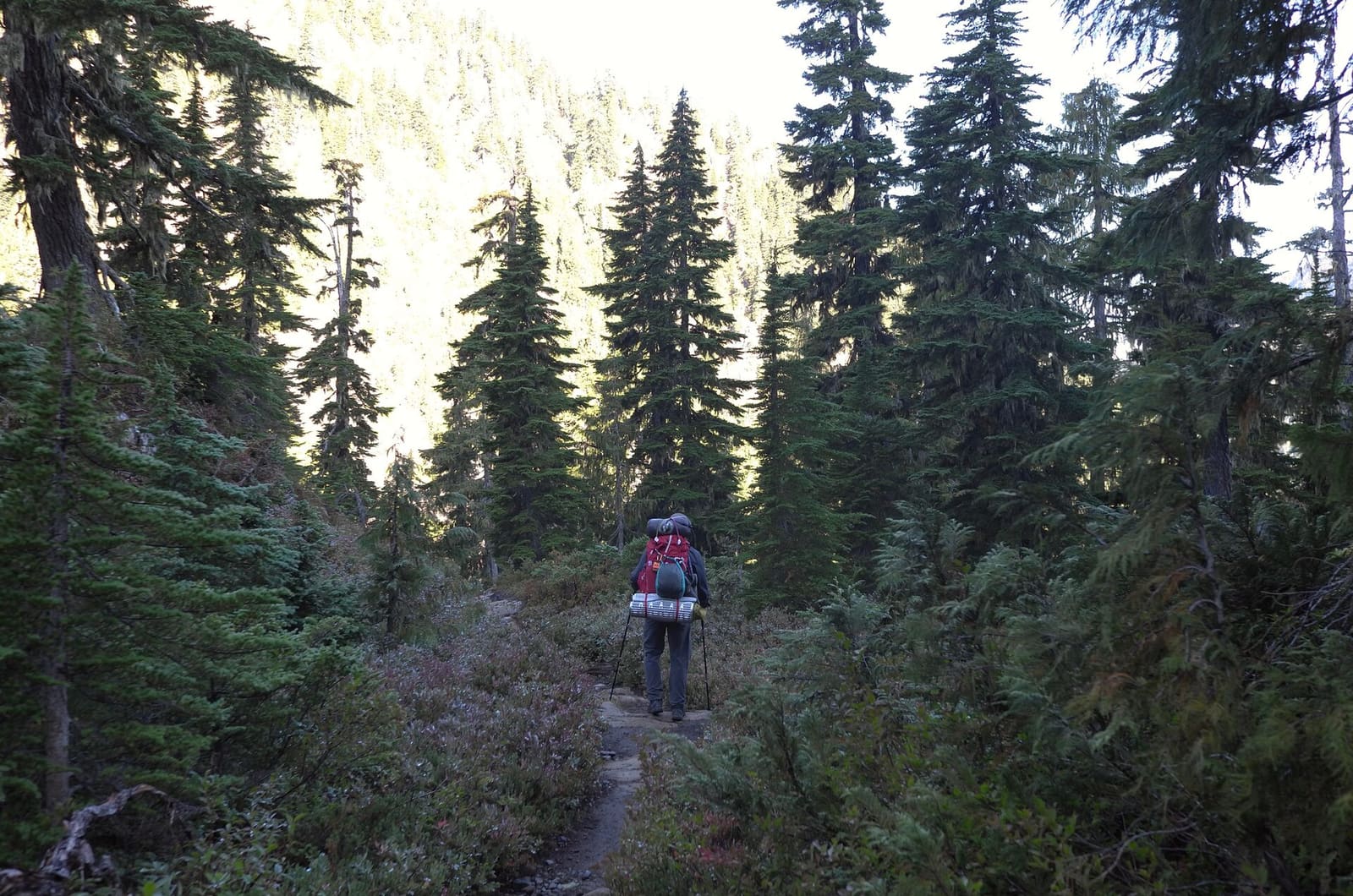 Olympic Peninsula, bank 2, frame 30 of 70