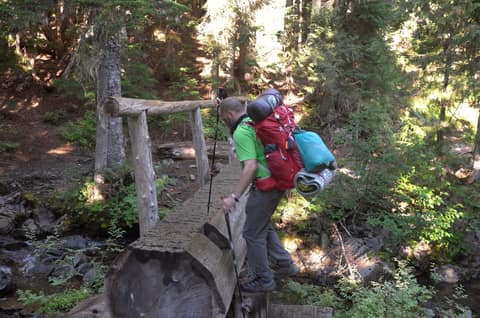 Olympic Peninsula, bank 2, frame 31 of 70