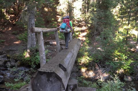 Olympic Peninsula, bank 2, frame 32 of 70