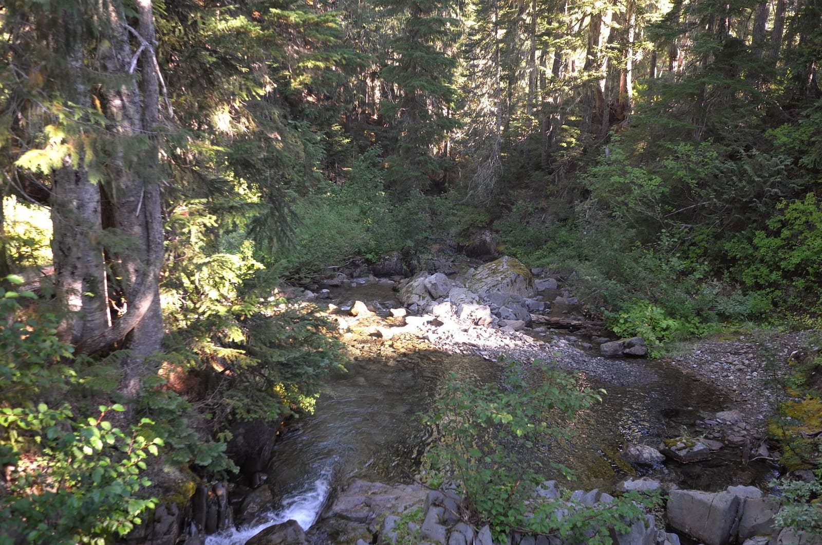 Olympic Peninsula, bank 2, frame 33 of 70