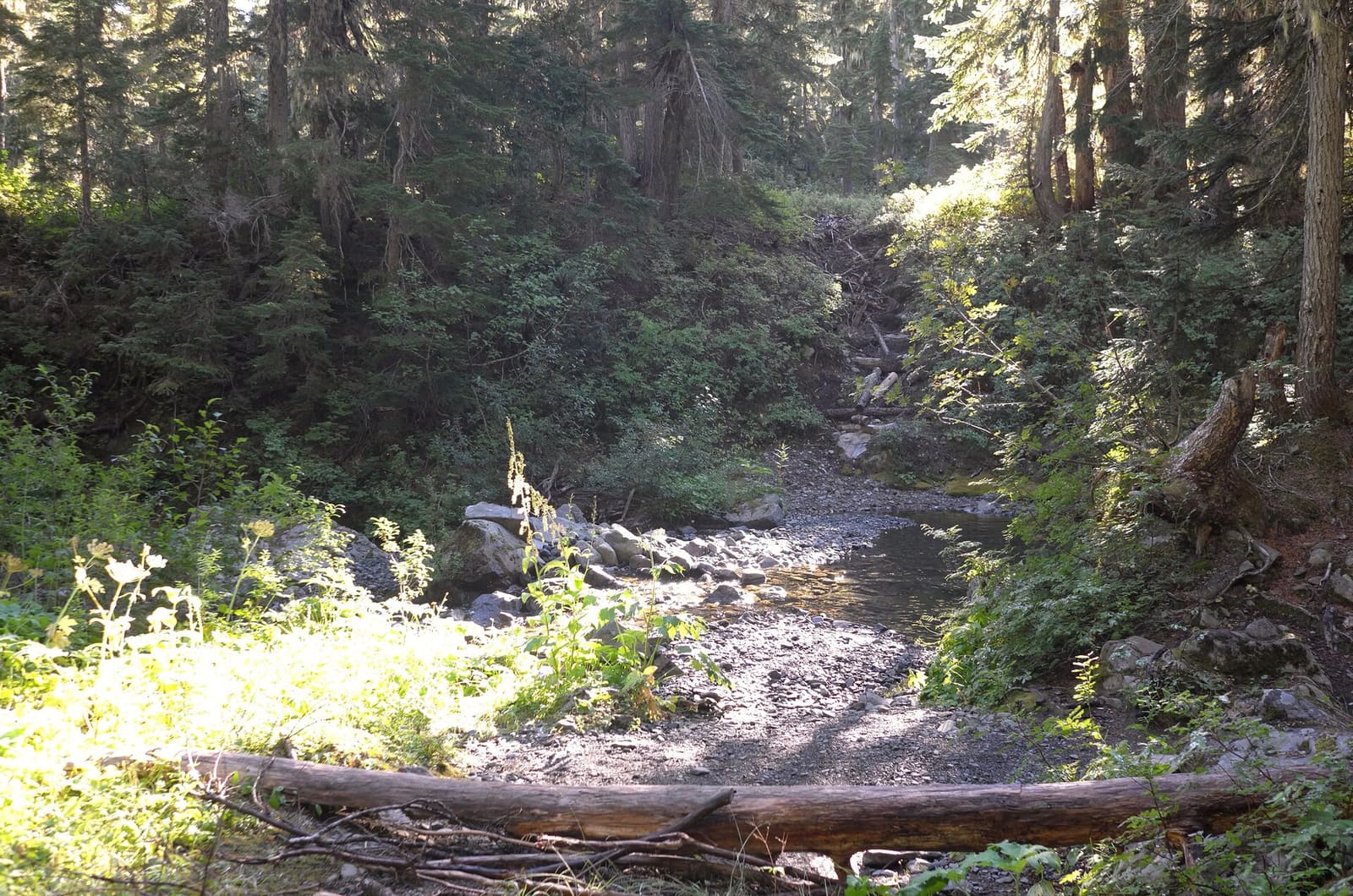 Olympic Peninsula, bank 2, frame 34 of 70