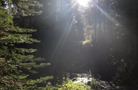 Olympic Peninsula, bank 2, frame 35 of 70