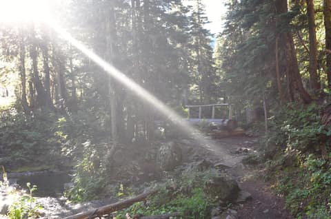Olympic Peninsula, bank 2, frame 36 of 70