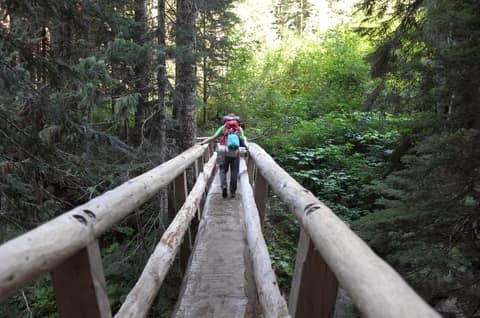 Olympic Peninsula, bank 2, frame 37 of 70