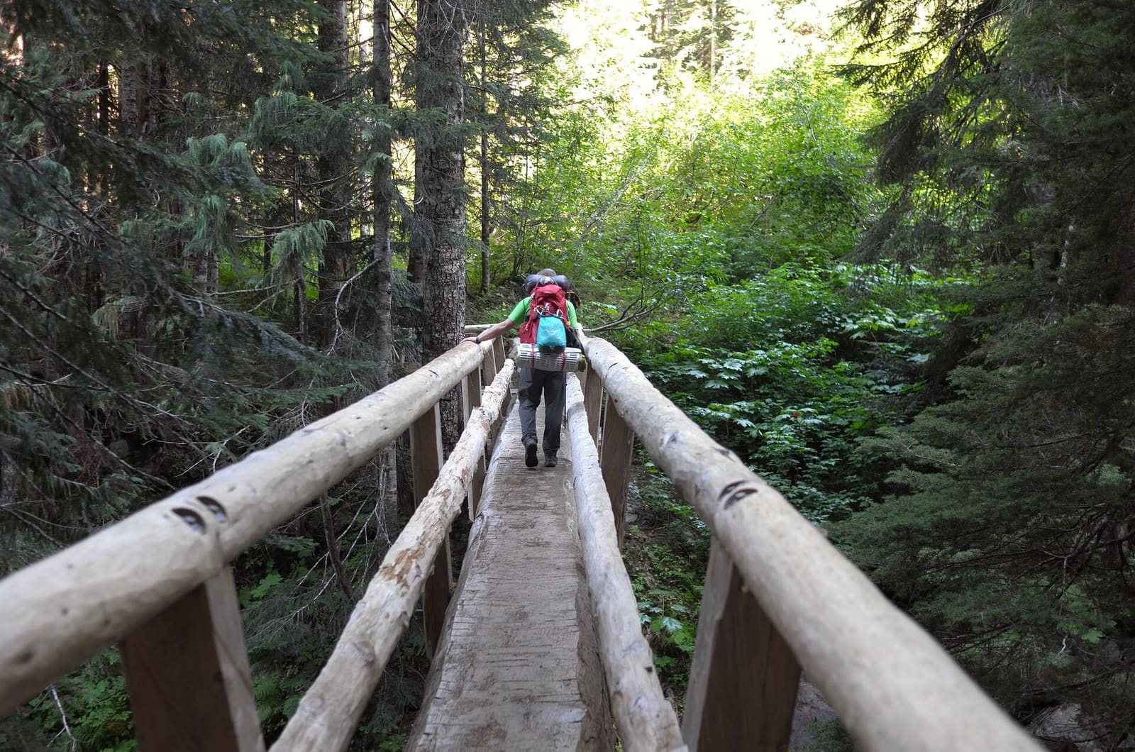 Olympic Peninsula, bank 2, frame 37 of 70