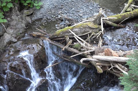 Olympic Peninsula, bank 2, frame 38 of 70