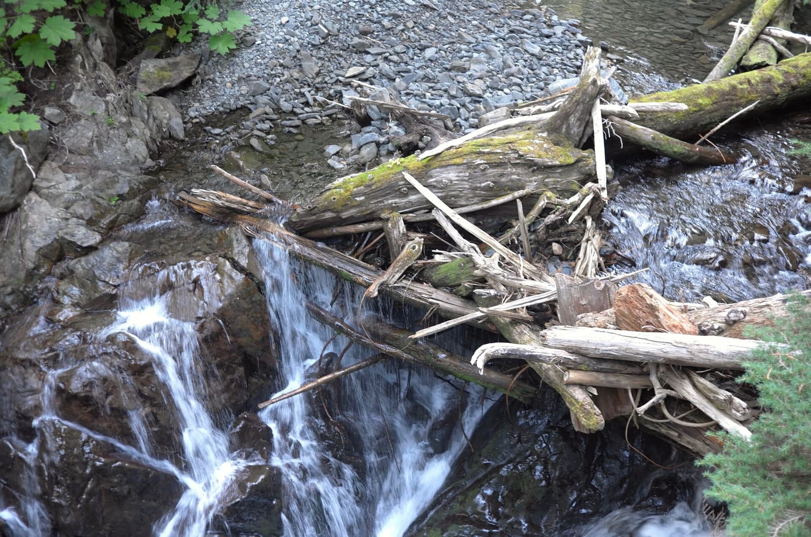 Olympic Peninsula, bank 2, frame 38 of 70