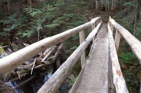 Olympic Peninsula, bank 2, frame 39 of 70
