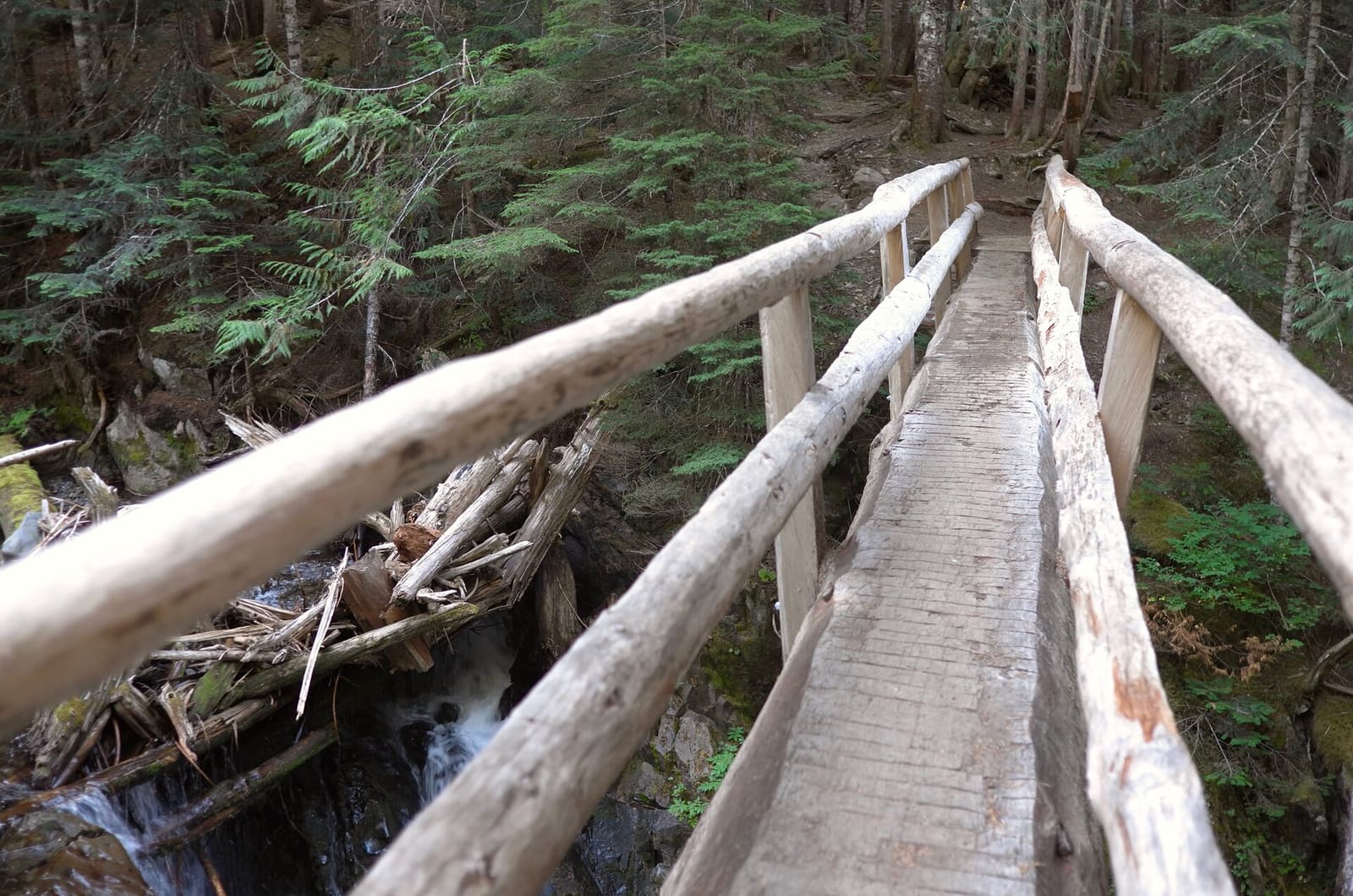 Olympic Peninsula, bank 2, frame 39 of 70