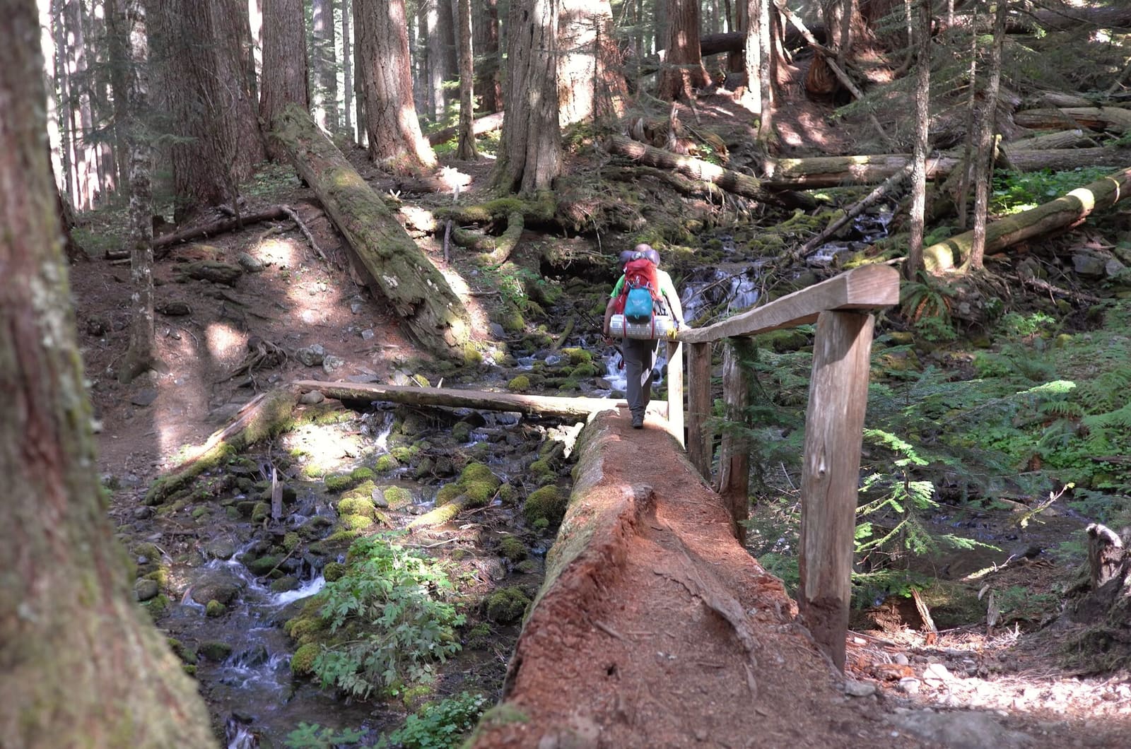 Olympic Peninsula, bank 2, frame 40 of 70