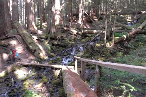 Olympic Peninsula, bank 2, frame 41 of 70