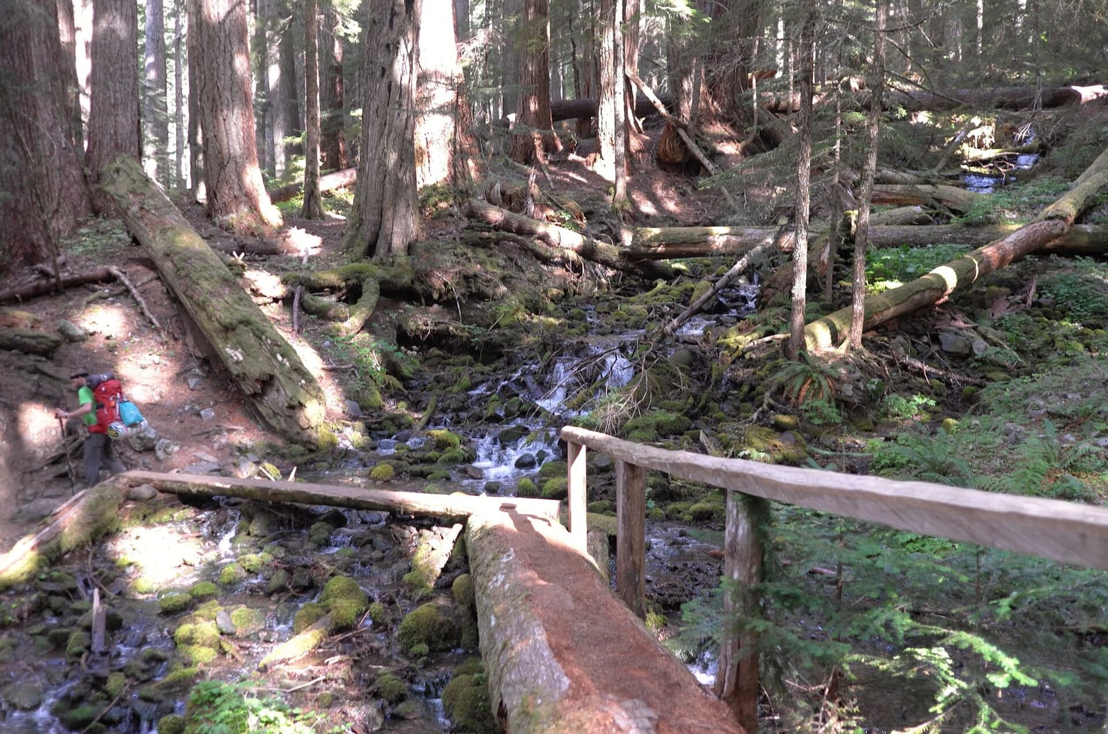 Olympic Peninsula, bank 2, frame 41 of 70