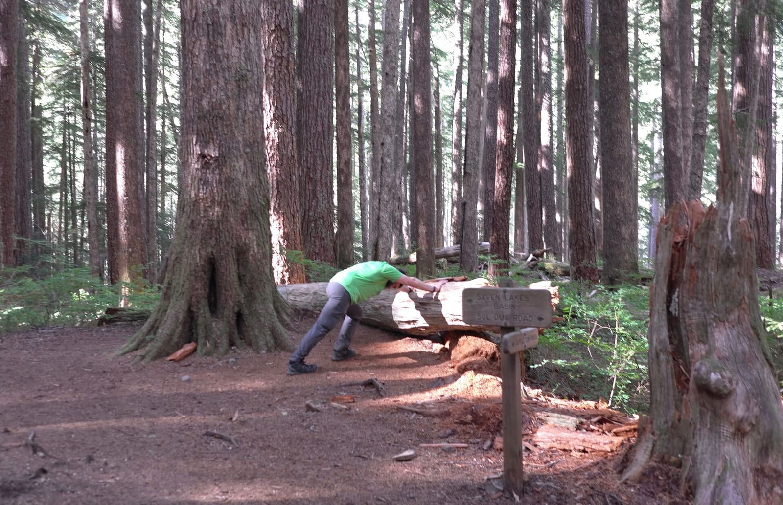 Olympic Peninsula, bank 2, frame 45 of 70