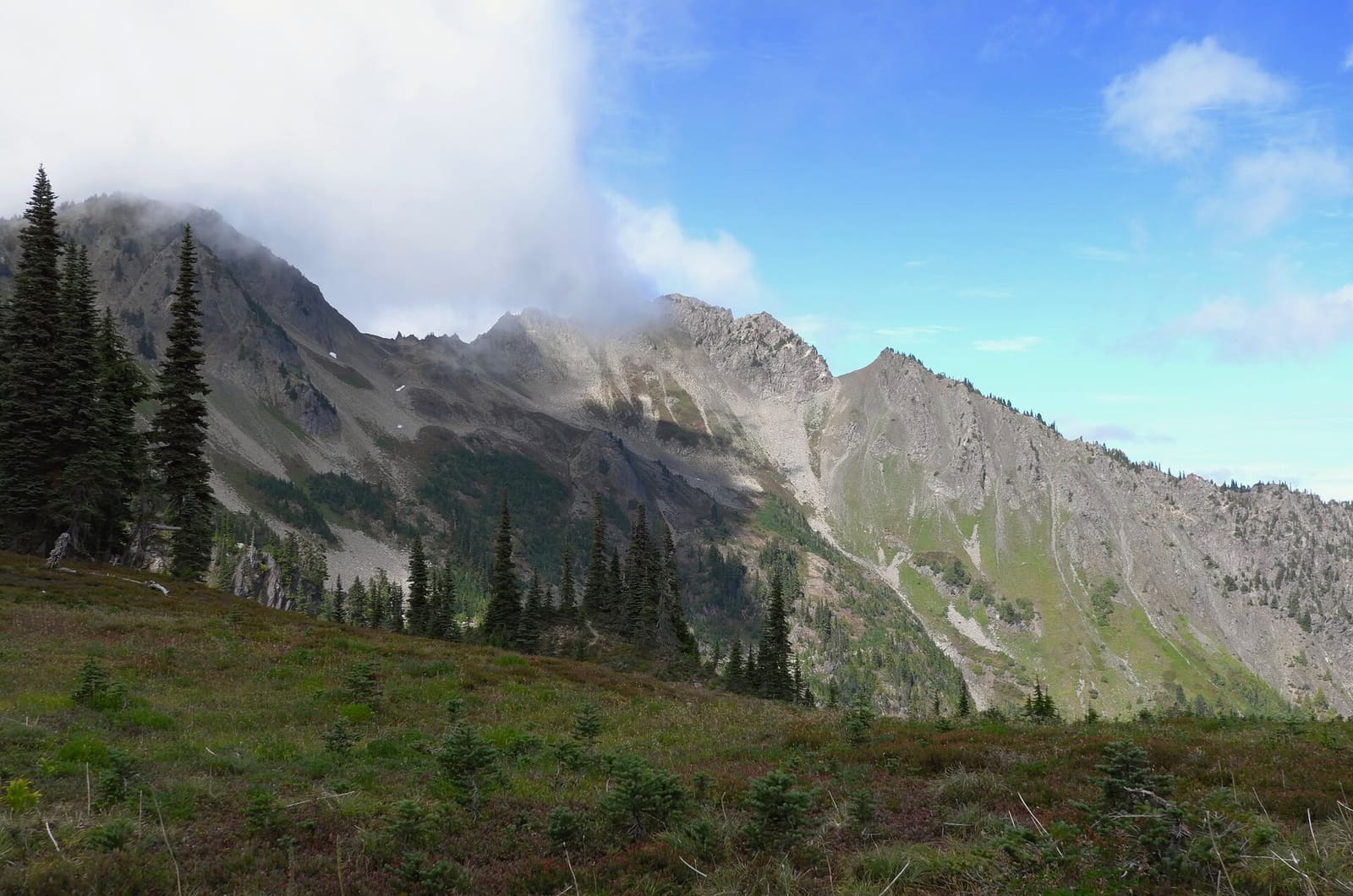 Olympic Peninsula, bank 2, frame 47 of 70