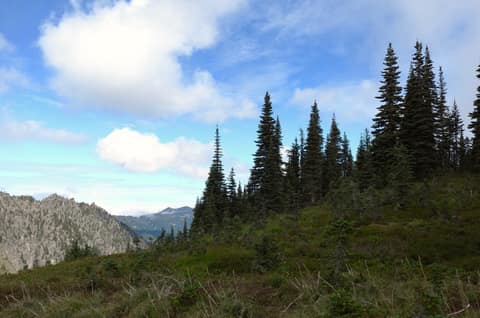 Olympic Peninsula, bank 2, frame 48 of 70