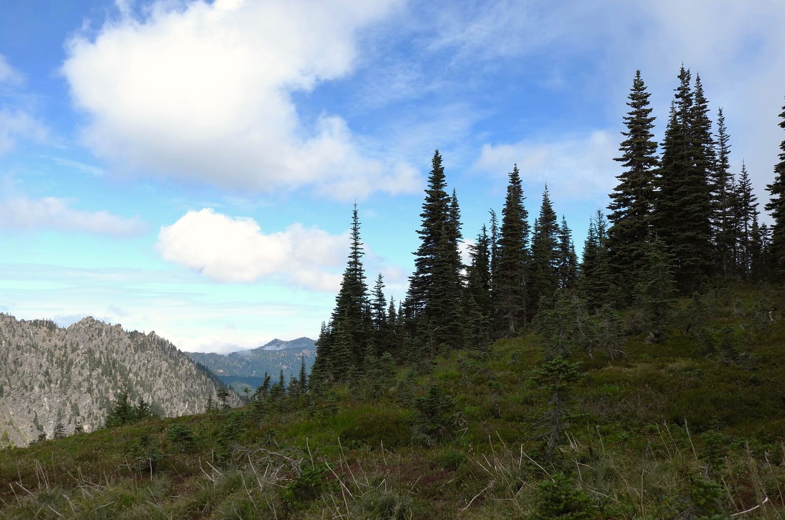 Olympic Peninsula, bank 2, frame 48 of 70