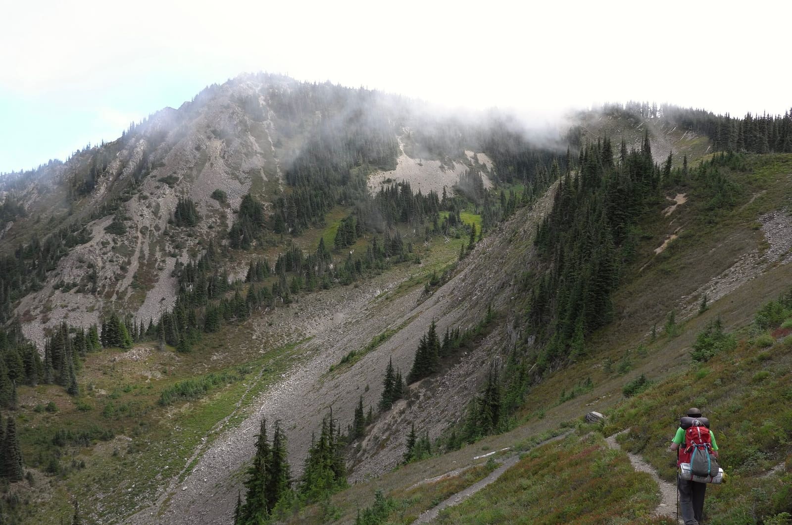 Olympic Peninsula, bank 2, frame 50 of 70