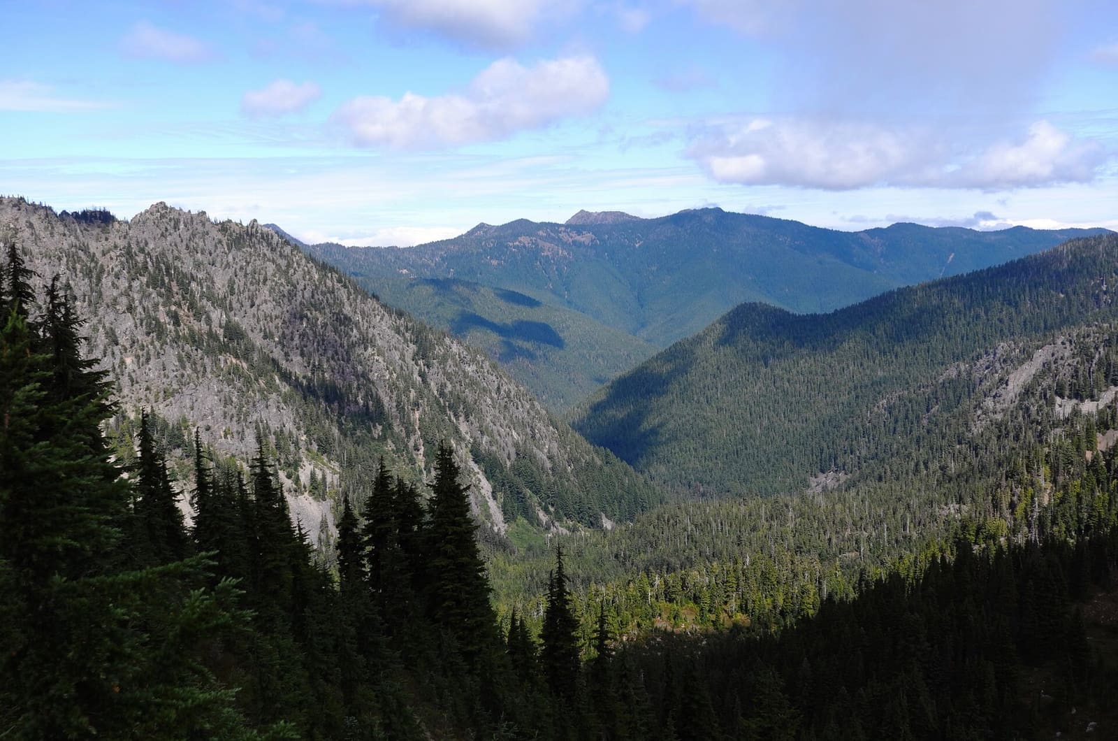 Olympic Peninsula, bank 2, frame 51 of 70