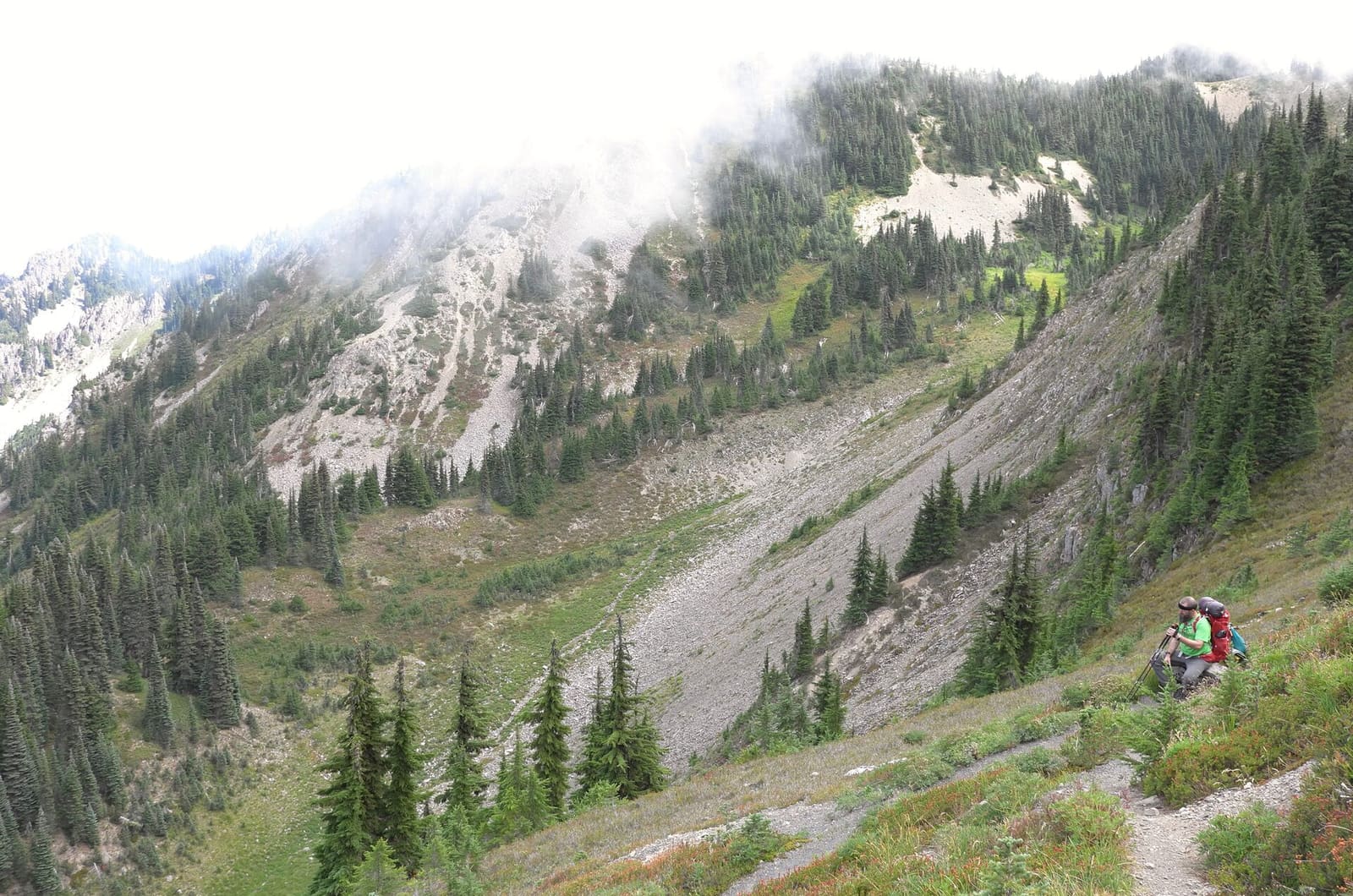 Olympic Peninsula, bank 2, frame 52 of 70