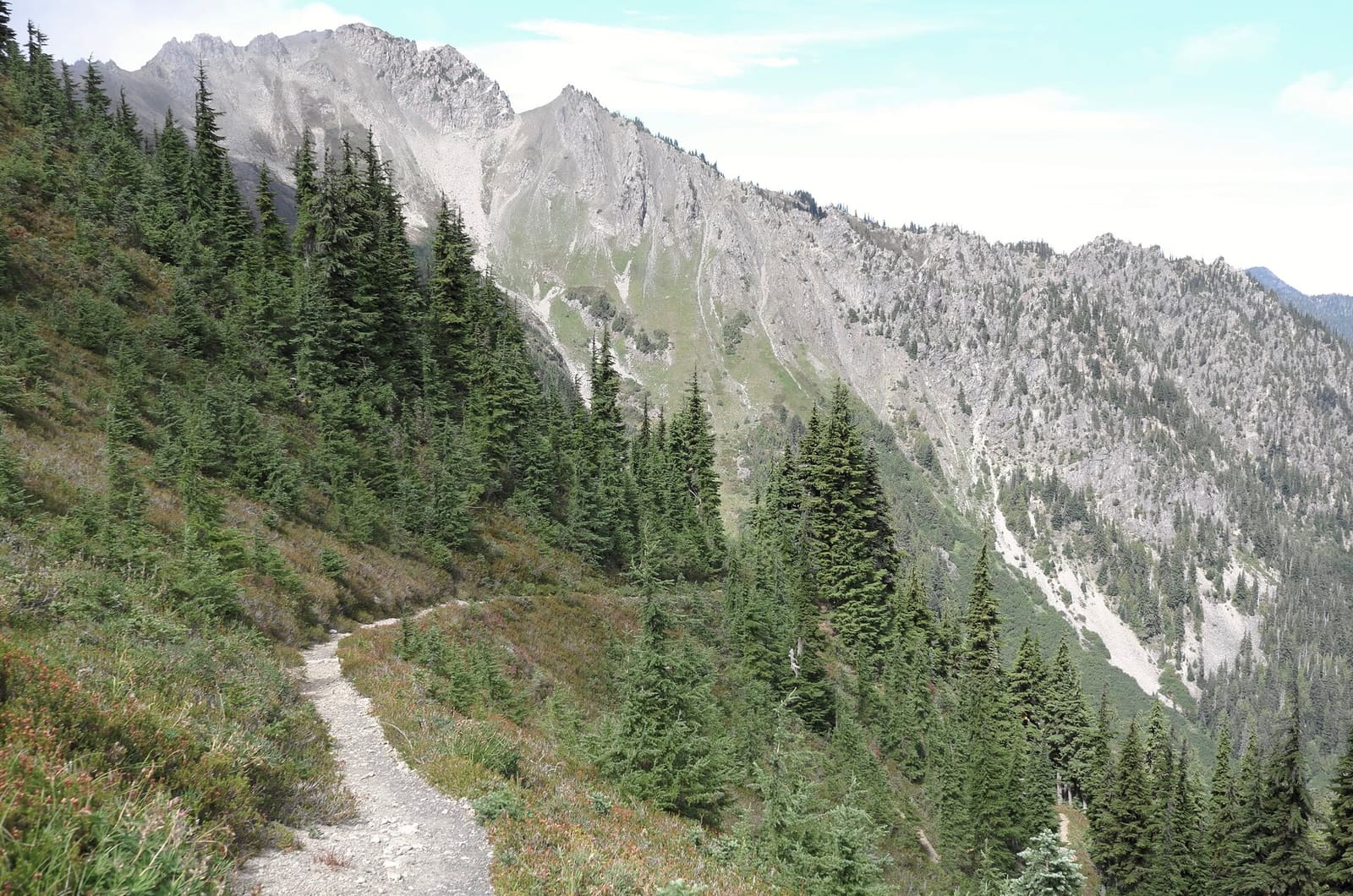 Olympic Peninsula, bank 2, frame 53 of 70