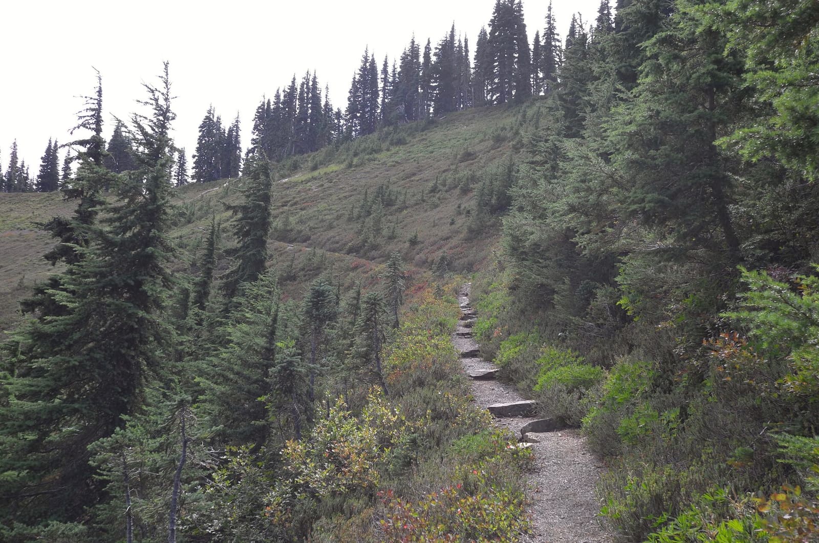 Olympic Peninsula, bank 2, frame 54 of 70