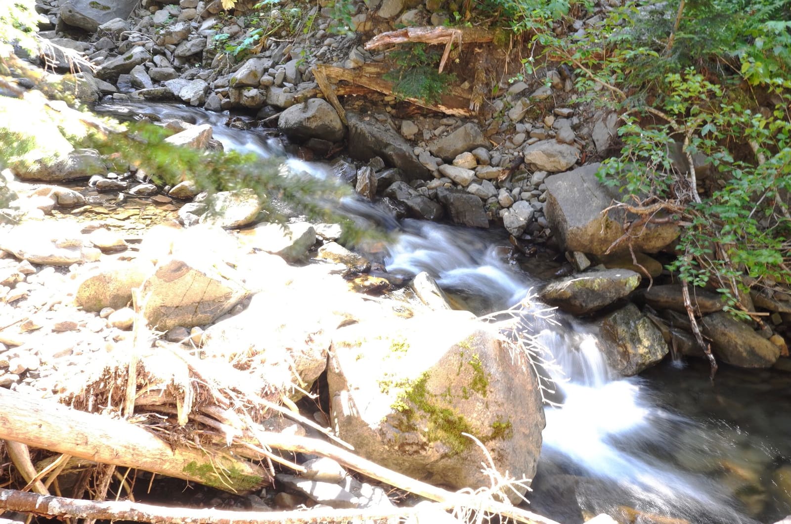 Olympic Peninsula, bank 2, frame 57 of 70