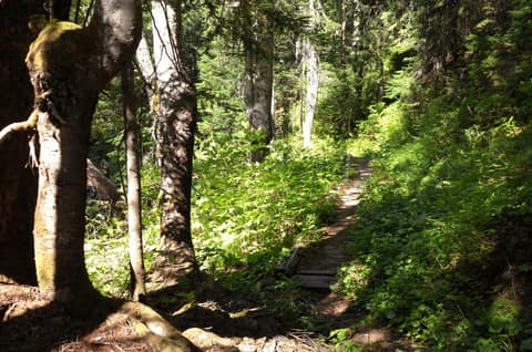 Olympic Peninsula, bank 2, frame 58 of 70
