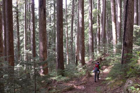 Olympic Peninsula, bank 2, frame 60 of 70