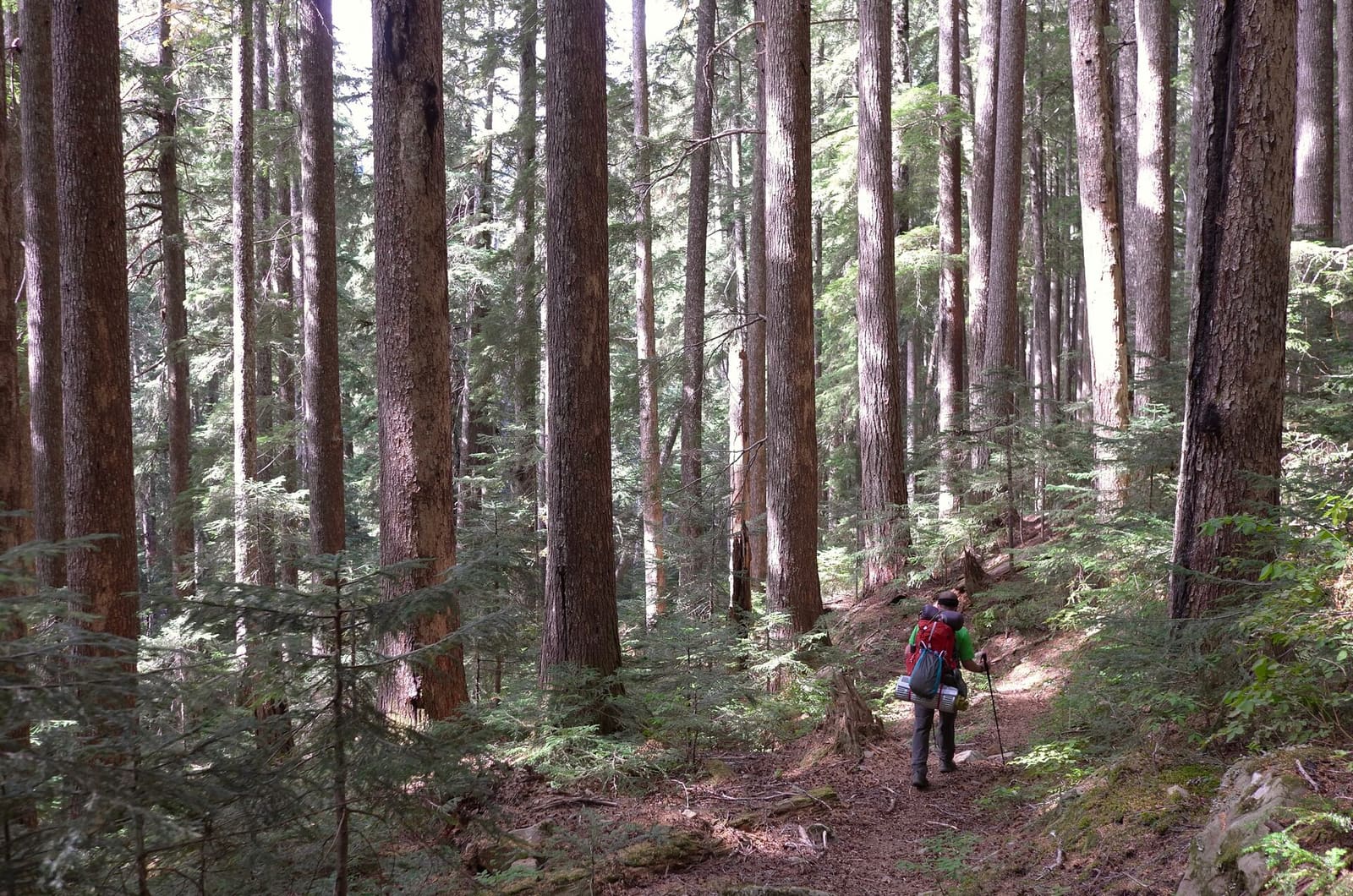 Olympic Peninsula, bank 2, frame 60 of 70