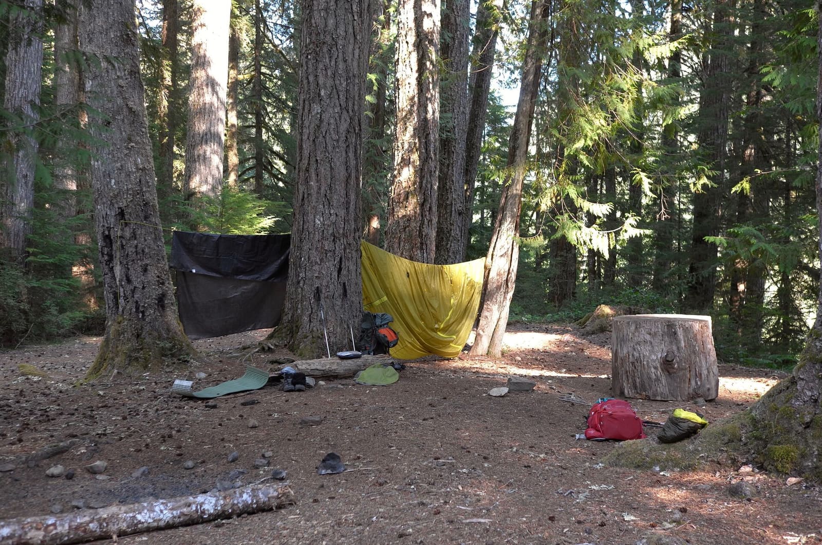 Olympic Peninsula, bank 2, frame 64 of 70