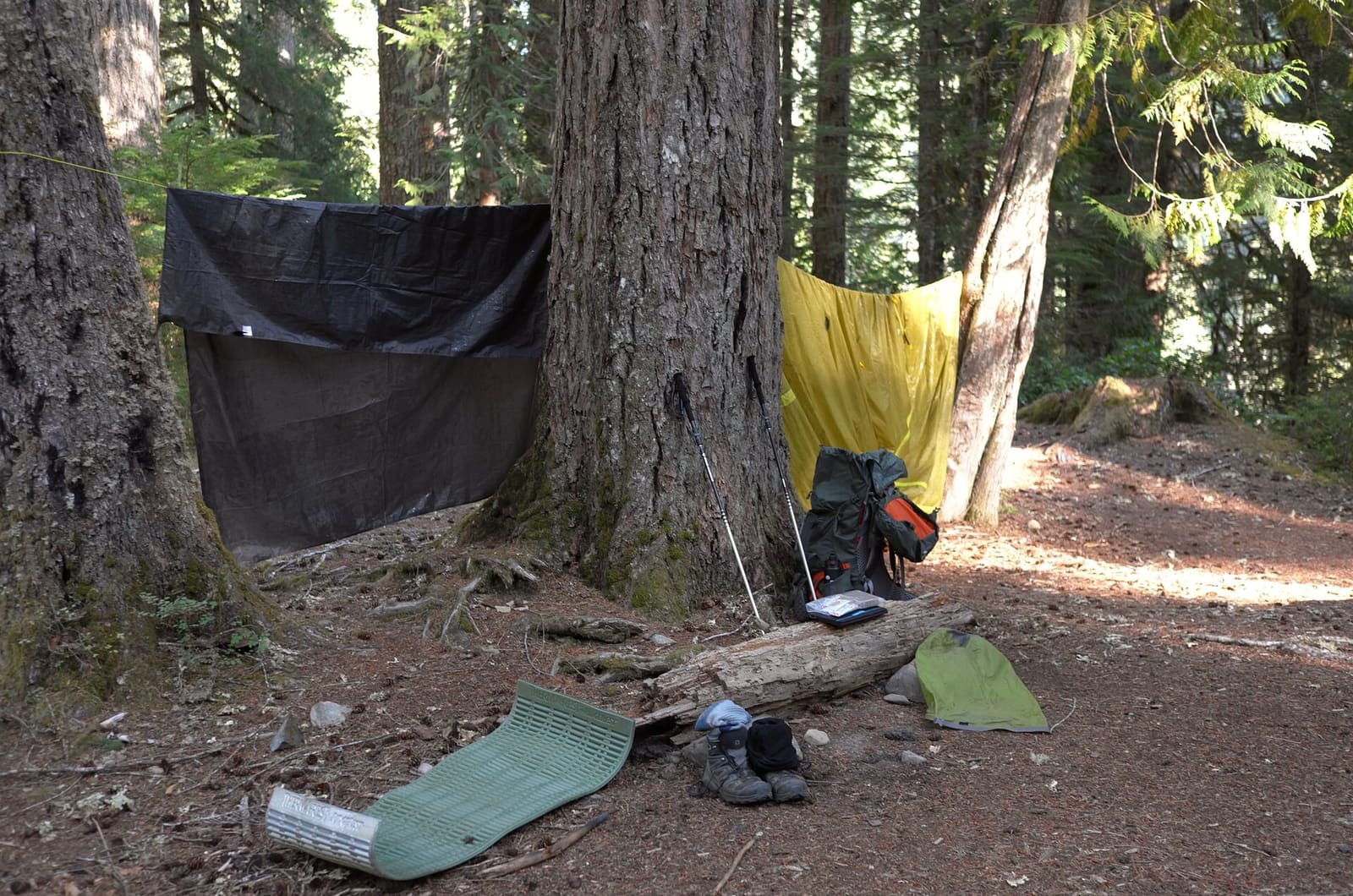 Olympic Peninsula, bank 2, frame 65 of 70
