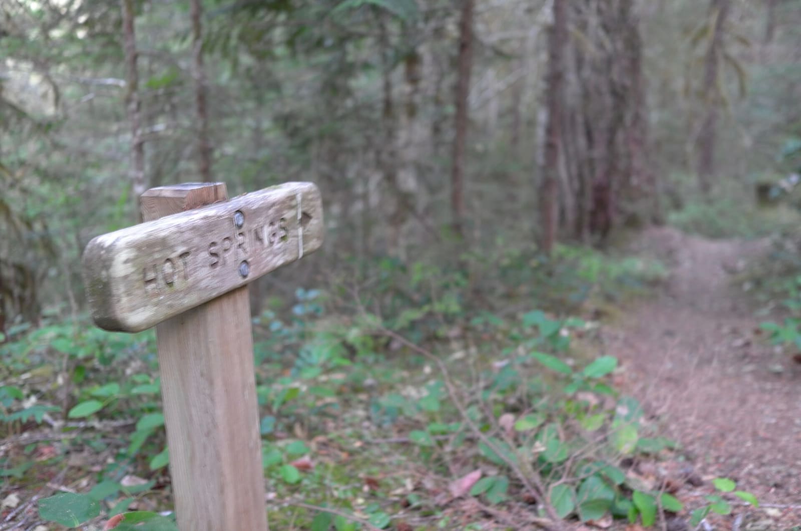 Olympic Peninsula, bank 2, frame 70 of 70