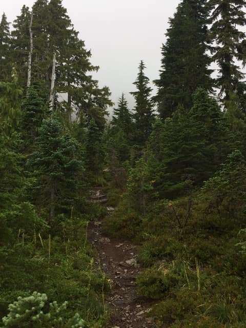 Olympic Peninsula, bank 3, frame 1 of 52