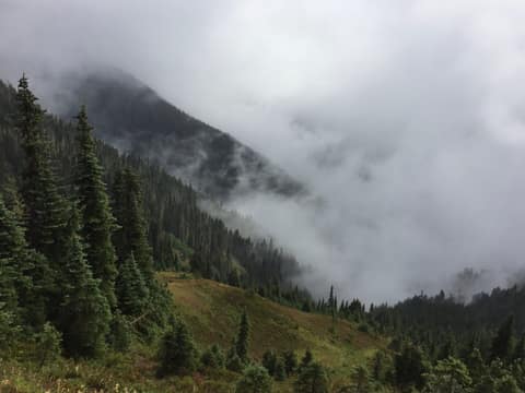 Olympic Peninsula, bank 3, frame 2 of 52
