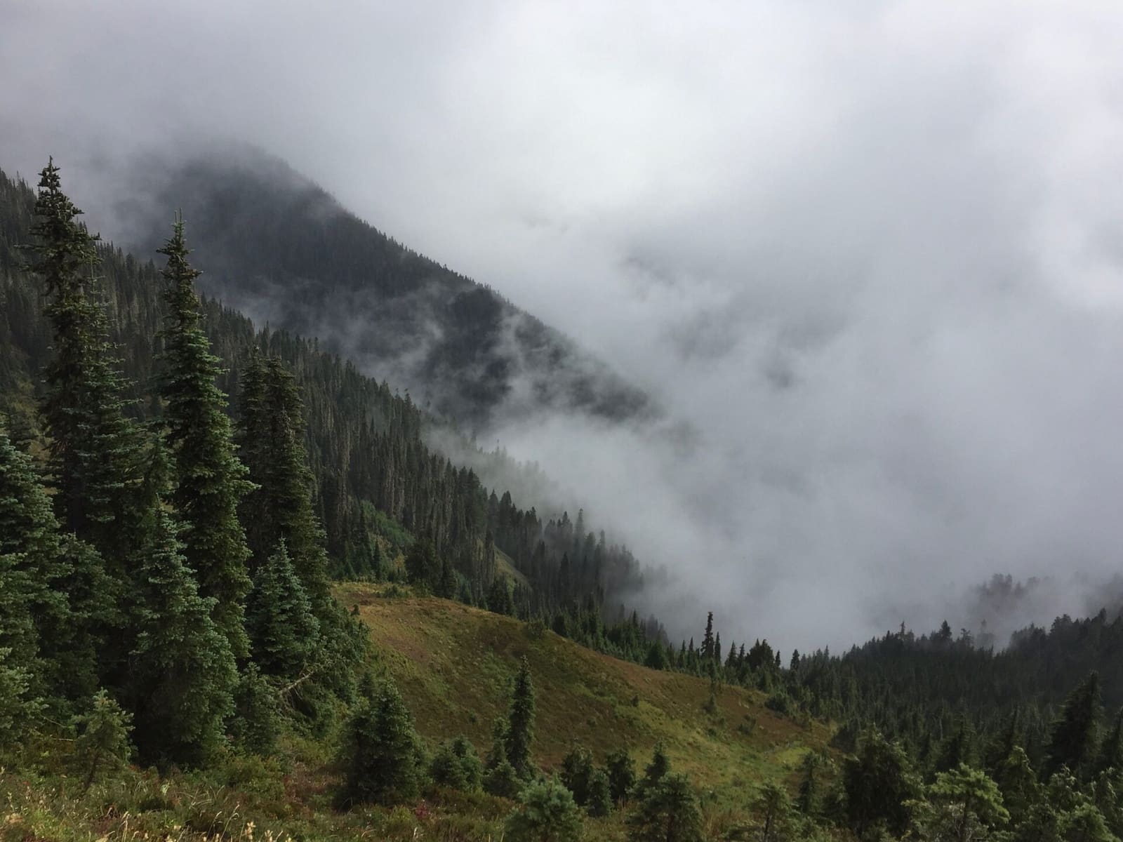 Olympic Peninsula, bank 3, frame 2 of 52