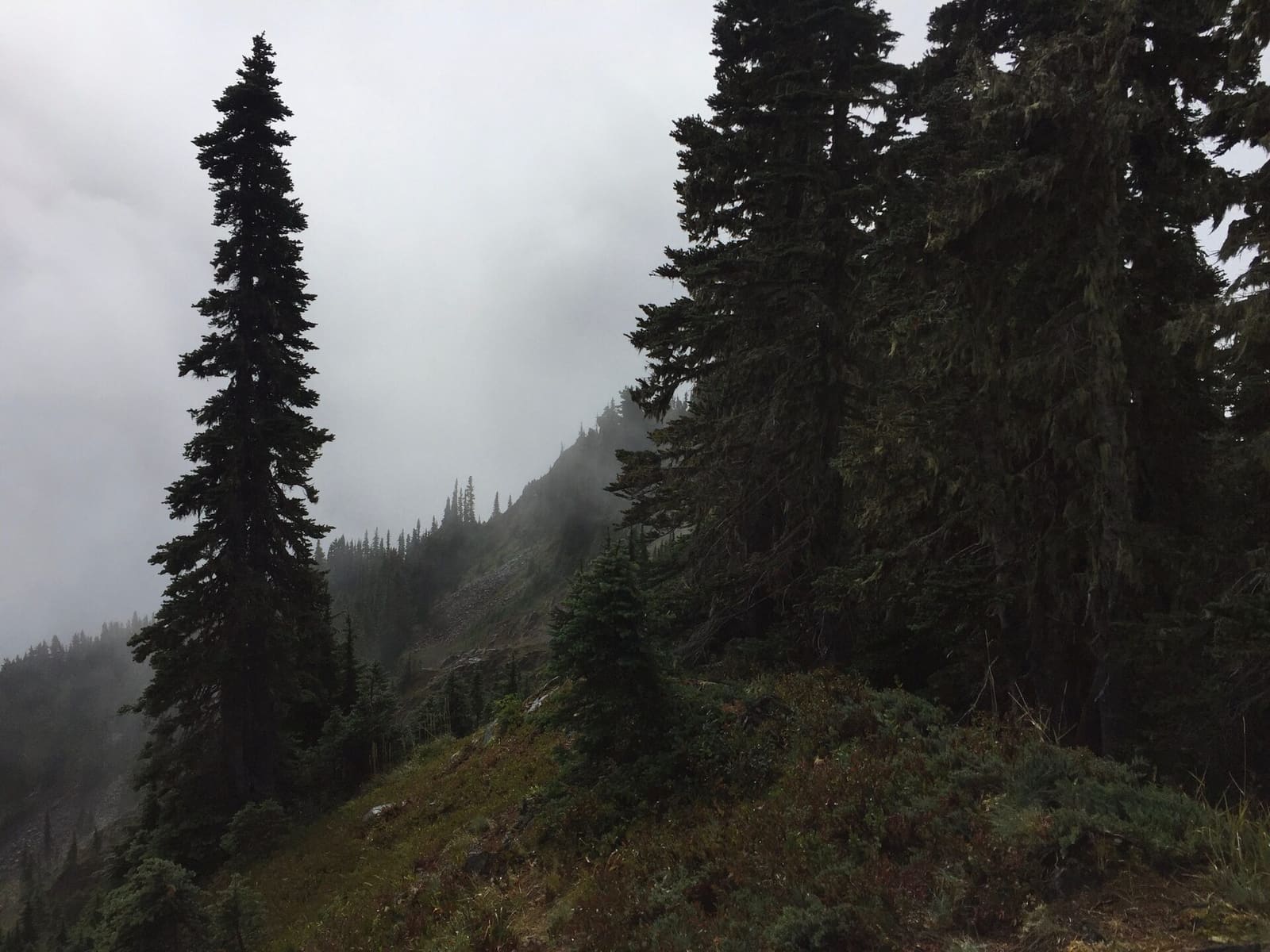 Olympic Peninsula, bank 3, frame 3 of 52
