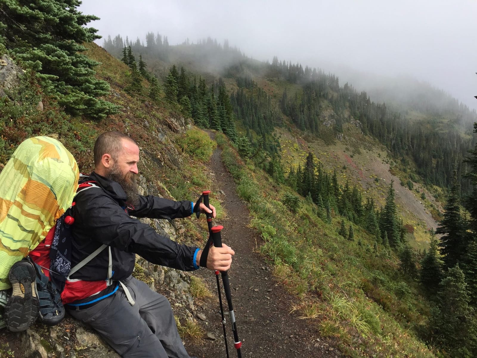 Olympic Peninsula, bank 3, frame 4 of 52