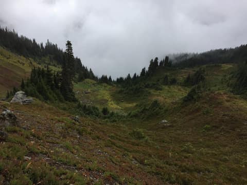 Olympic Peninsula, bank 3, frame 6 of 52