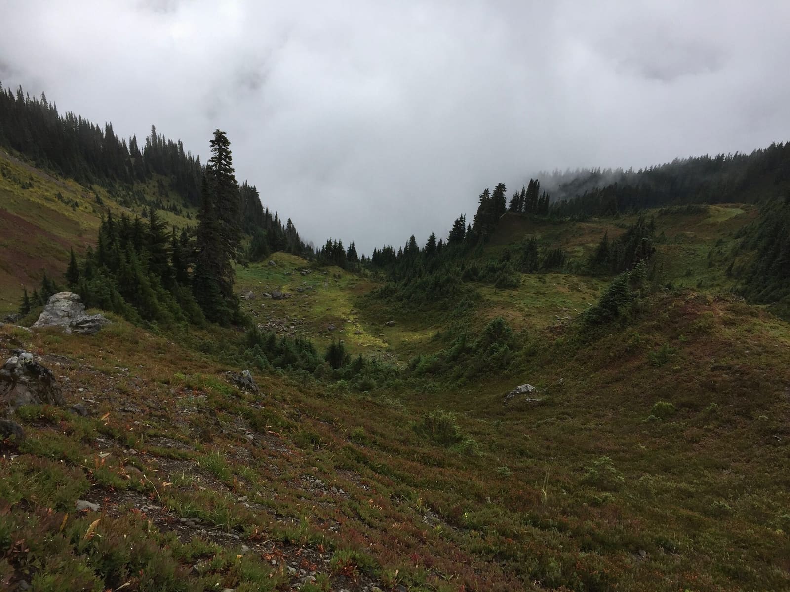 Olympic Peninsula, bank 3, frame 6 of 52
