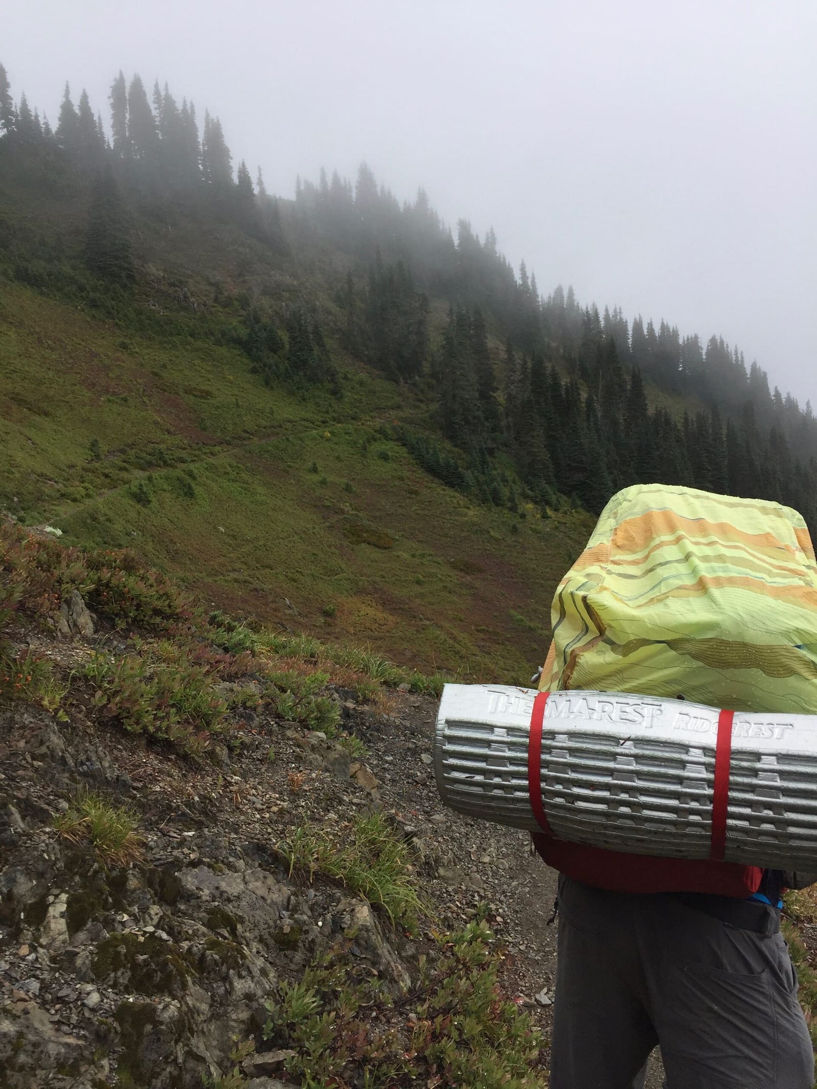 Olympic Peninsula, bank 3, frame 7 of 52