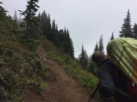 Olympic Peninsula, bank 3, frame 8 of 52