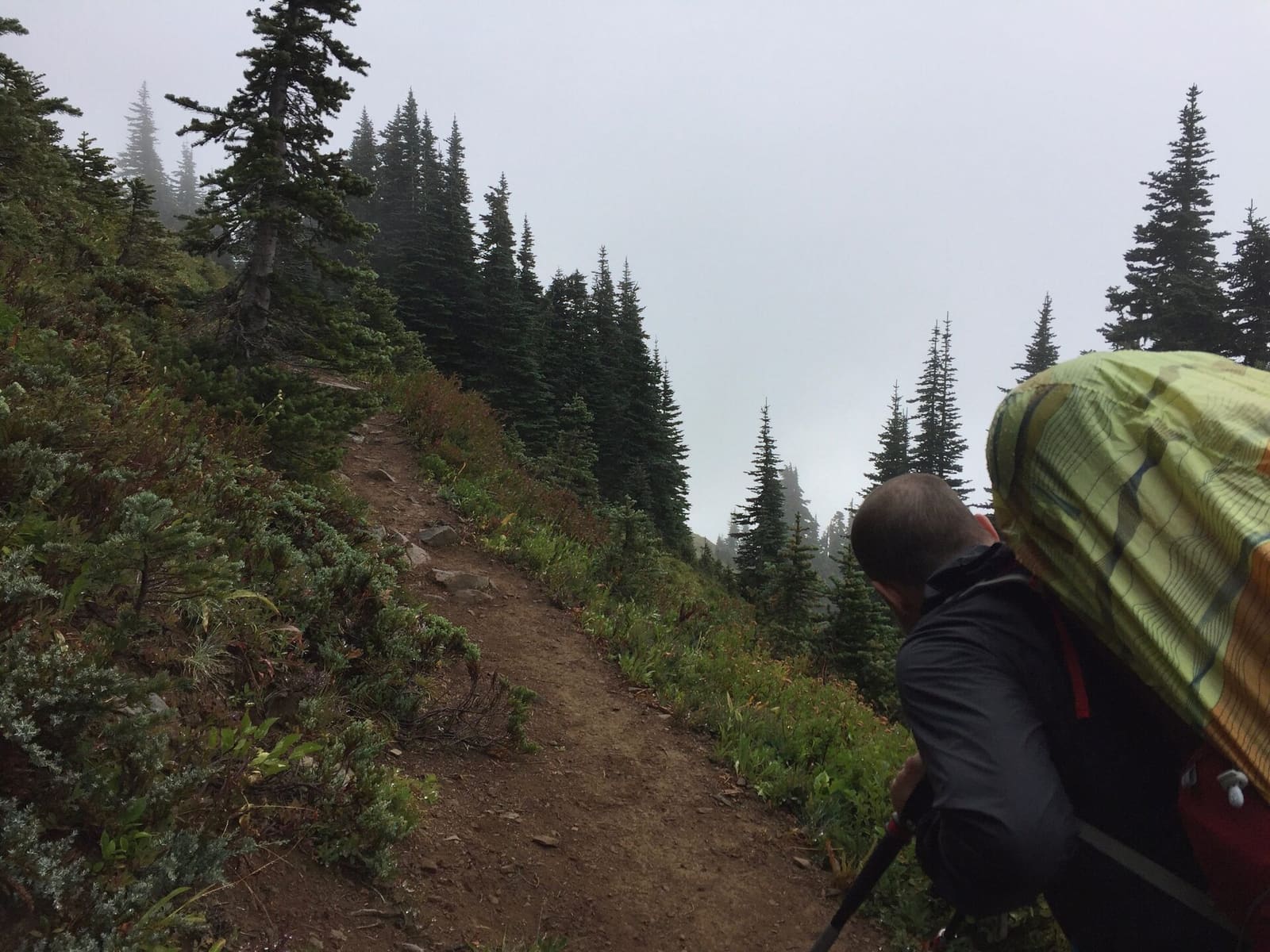Olympic Peninsula, bank 3, frame 8 of 52