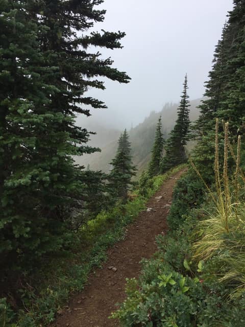 Olympic Peninsula, bank 3, frame 10 of 52