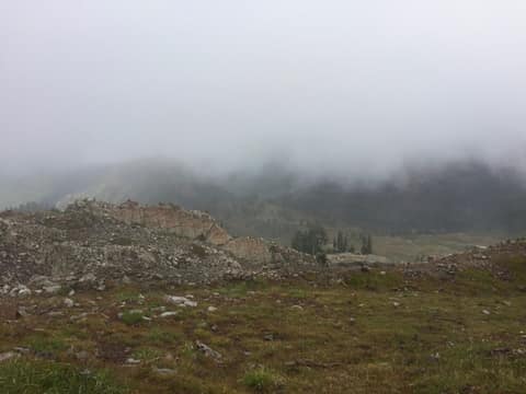 Olympic Peninsula, bank 3, frame 15 of 52