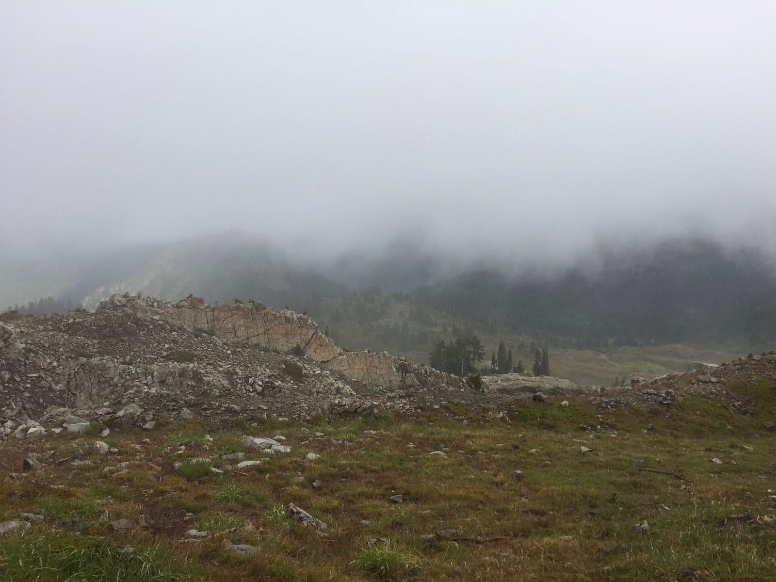 Olympic Peninsula, bank 3, frame 15 of 52