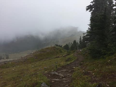 Olympic Peninsula, bank 3, frame 16 of 52