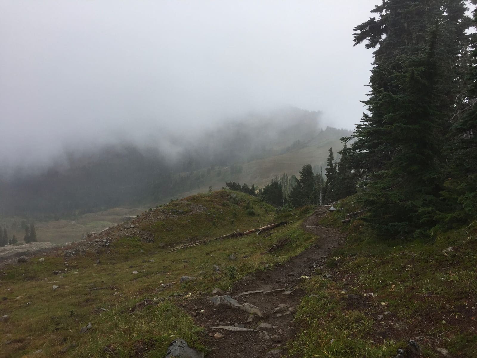 Olympic Peninsula, bank 3, frame 16 of 52