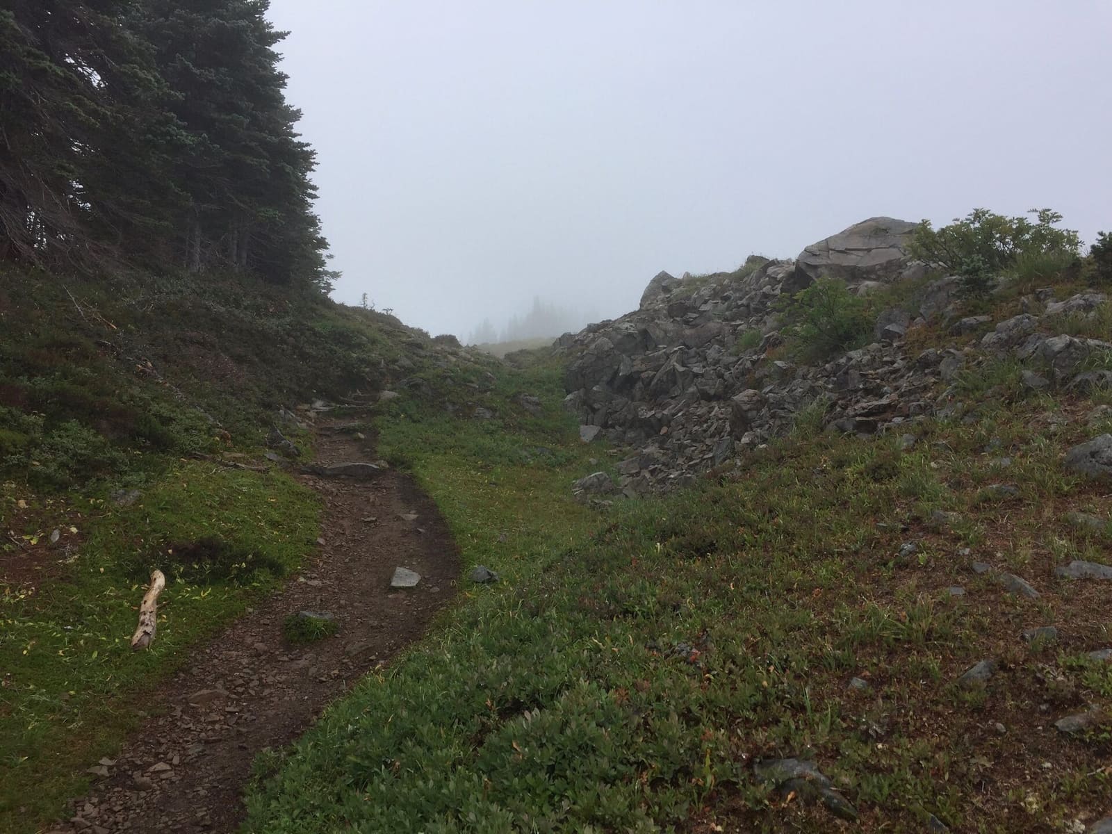 Olympic Peninsula, bank 3, frame 17 of 52